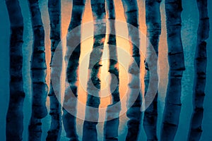 abstract background. sunrise in a birch grove. birch trees made from carrot peels