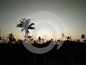 Abstract background of sunrise taked at the field photo