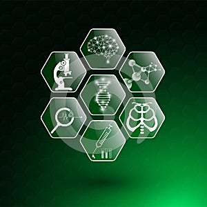 Abstract background technology concept and icon in green light,brain and human body heal
