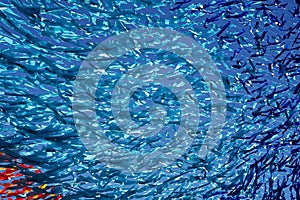 Abstract texture and background from blue tapes