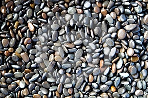 Abstract background texture, Colorful sea stones in water, top view