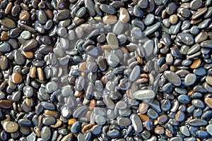 Abstract background texture, Colorful sea stones in water, top view