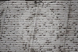 Abstract background. Texture.  Corrugated steel sheet. Fooftop