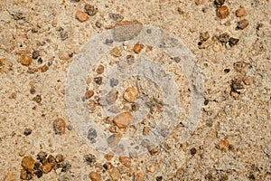 Abstract background texture of peat soil