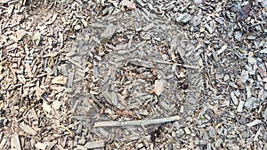 Abstract background and texture of sawdust and pieces of wood. Texture, pattern, frame, copy space. Brown or grey mulch