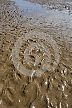 Abstract Background Texture of Wet Sand