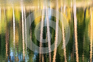 Abstract background of tree trunks blurred on the river surface