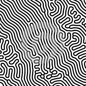 Abstract background of vector organic irregular lines maze pattern