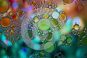 Abstract background with vibrant colours. Oil drops in water. Close colorful and artistic bubbles. Space pattern