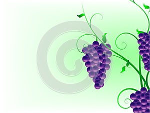 Abstract background with vines