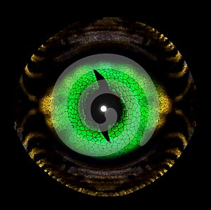 Abstract Background or Wallpaper: Green Dragon`s Eye photo