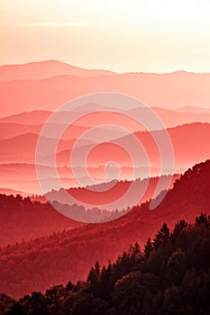 Abstract background in warm red with gradient tonal transitions