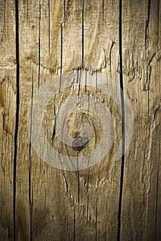 Abstract background of weathered wooden material