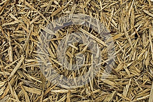Abstract background wood mulch chips