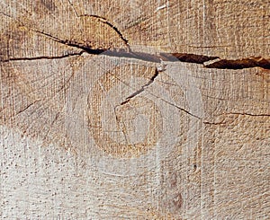 Abstract background. Wood texture as background