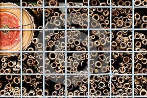 Abstract background with wooden twigs behind the net fence close-up