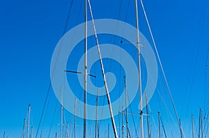 Abstract background of yacht masts with sky on the background photo