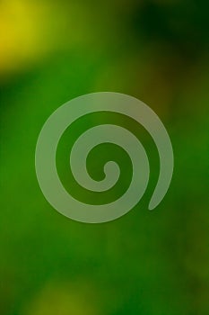 Abstract Background Yellow, Green Colors.