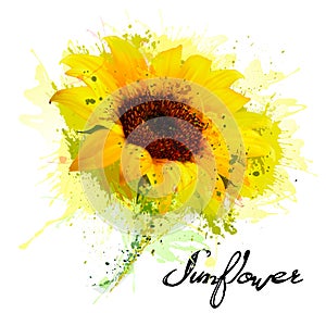 Abstract background with yellow sunflower.