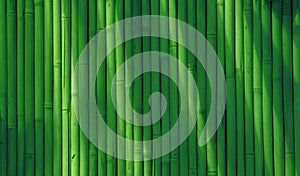 Abstract bamboo background