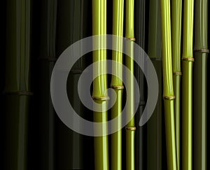 Abstract bamboo forest foliage jungle illustration