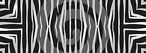 Abstract banner, cover design template. Geometric striped black white pattern in zebra style.