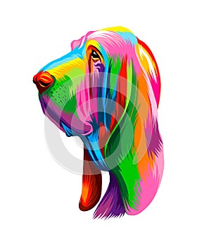 Abstract Basset Hound head portrait, Bloodhound head portrait from multicolored paints. Dog muzzle