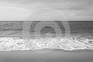 Abstract beach background. tropical beach landscape.Exotic nature concept black and white
