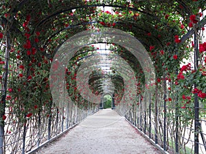 Abstract beautiful fresh green natural archway made of blooming