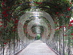 Abstract beautiful fresh green natural archway made of blooming