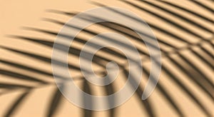 Abstract Beige and Black Leaf Shadow Pattern on Light Background