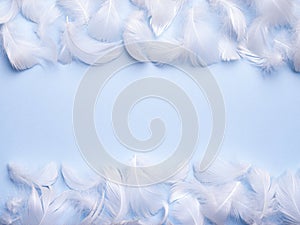 Abstract bird feather background.