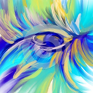 Abstract Bird feathers background