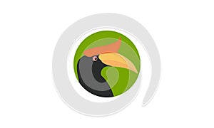 Abstract bird hornbill head colorful logo design