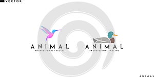 Abstract bird logo. Isolated duck and hummingbird