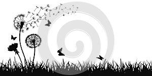 Abstract black dandelion silhouette, flying seeds of dandelion, butterfly, grass, field, nature eco background - vector