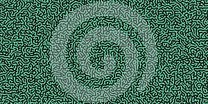 Abstract black lines on green background. Chaotic lines texture. Pattern with labirint effect photo