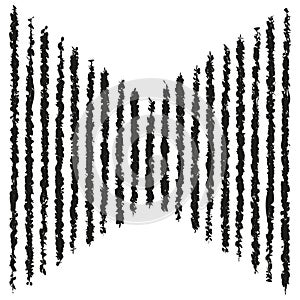 Abstract black lines pattern. Gradual narrowing to center. Vector illustration. EPS 10. photo
