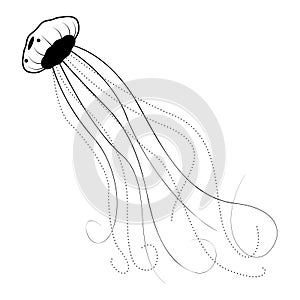 Abstract Black Simple Line Jellyfish Doodle Outline Element Vector Design Style Sketch Illustration Nature Ocean WIldlife photo