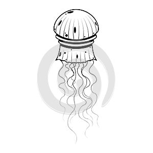 Abstract Black Simple Line Jellyfish Doodle Outline Element Vector Design Style Sketch Illustration Nature Ocean WIldlife photo