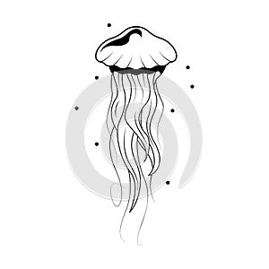 Abstract Black Simple Line Jellyfish Doodle Outline Element Vector Design Style Sketch Illustration Nature Ocean WIldlife photo