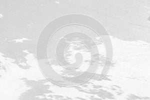 Abstract black and white animal skin texture background