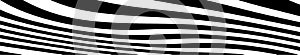 Abstract black and white curved lines vector