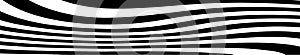 Abstract black and white curved lines vector