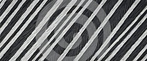 Abstract Black and White Diagonal Stripes