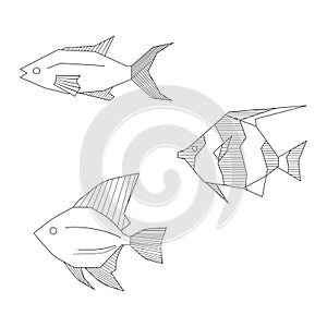 Abstract black and white fishes vector