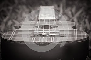 Abstract black and white image close up of musical instrument ukulele guitar on green grass.