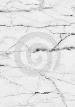 Abstract black and white marble patterned (natural patterns) texture background.