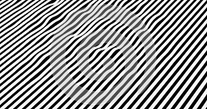 Abstract black and white oblique strips movement, flowing in background, zebra effect, seamless loop