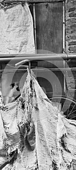 abstract black and white photo of retro bicycle and window